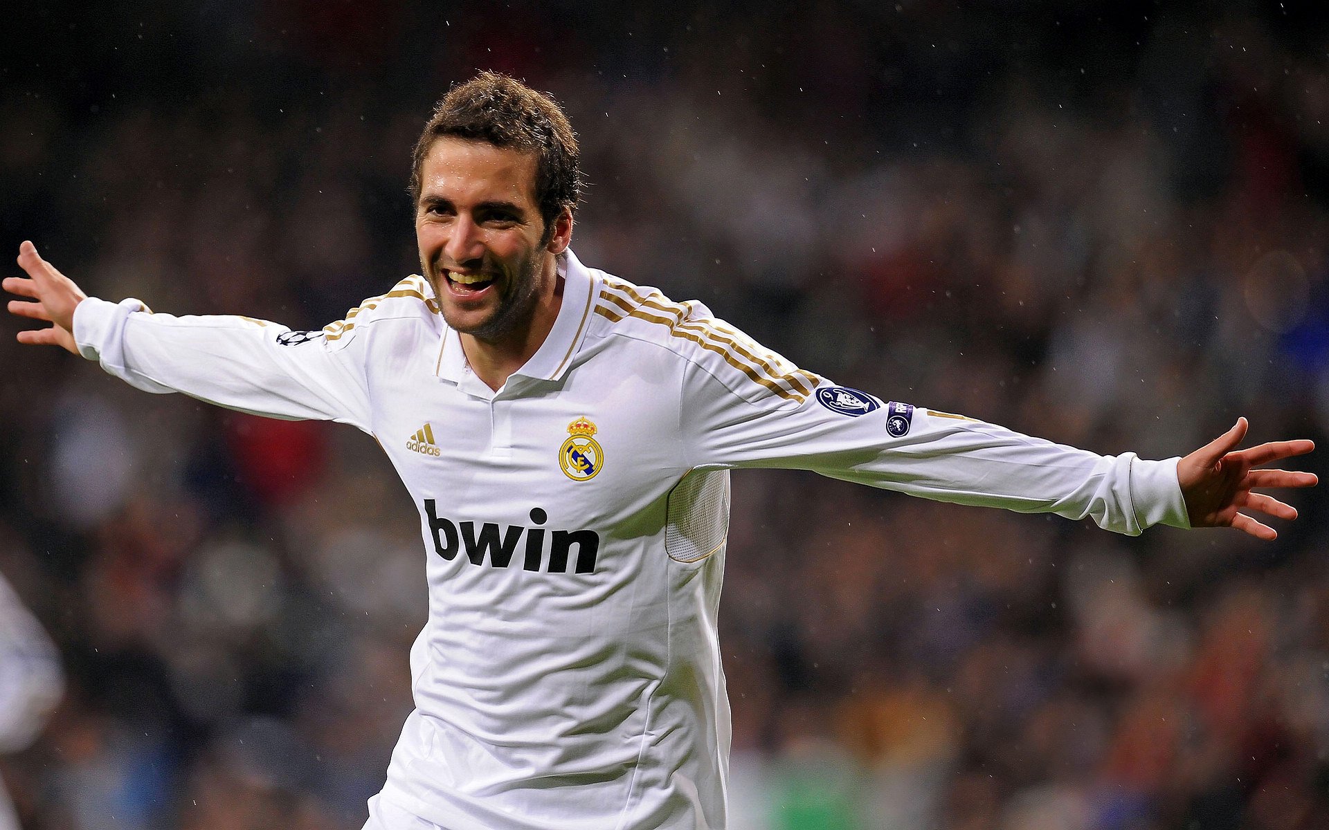 新晋车手：从看台到领奖台的奇迹，新晋车手什么意思